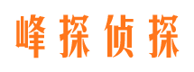 涧西侦探